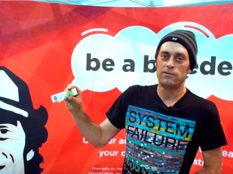 Саша по прозвищу Joint Doctor Joint Doctor