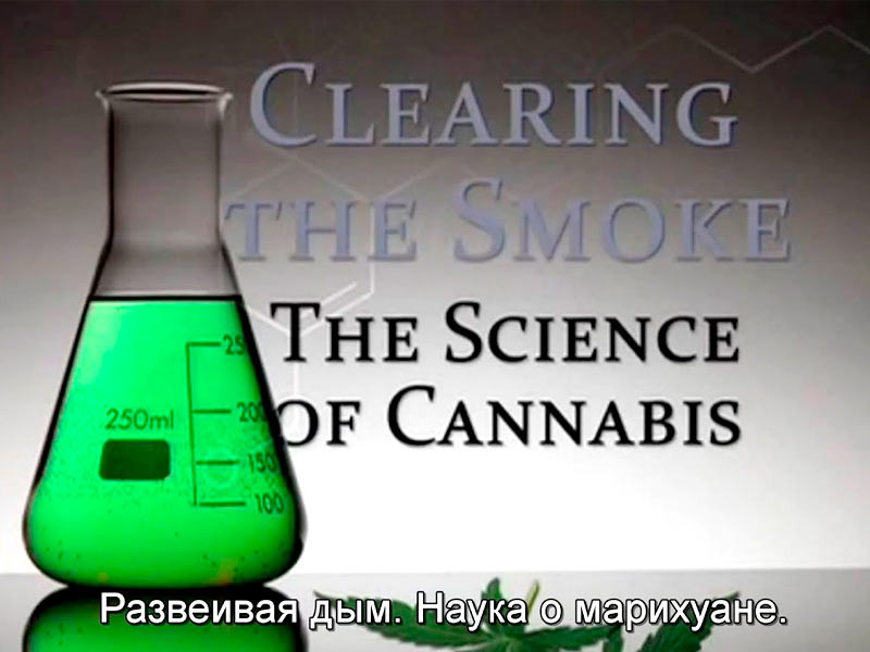Фильм «Развеивая дым: наука о марихуане» «Развеивая дым: наука о марихуане», 2011 год, США