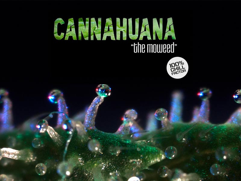 Фильм «Каненахуана» «Каненахуана», 2008 год, США