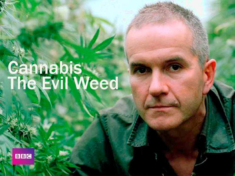 Фильм «Конопля: вредная трава?» «Конопля: вредная трава?», 2009 год, США